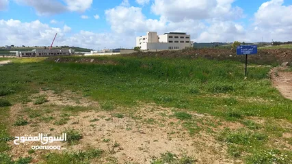  2 Land For Sale In Alyadodeh ( Property 42386 )-174714076