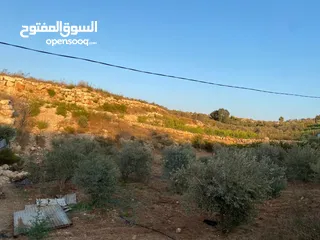  2 ارض في قربه النبي الياس