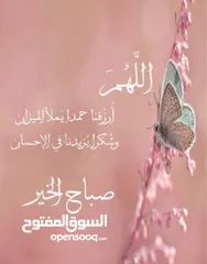  1 مطلوب معزا مواليد أو لجب حليب للشرا الفوري أو نعاج مواليد