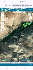  18 كرم رمان مثمر مروي من تبع ماء مساحة الكرم 8250 متر مربع على شارعين في وادي الرمان دير ابو سعيد منتج