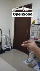  6 صن كنيور اليف جدا و لعوب للبيع لعدم التفرغ