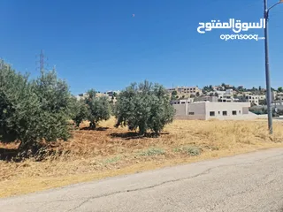  3 ارض للبيع 510 م في اجمل مناطق المملكه بدر الجديده بسعر مميز