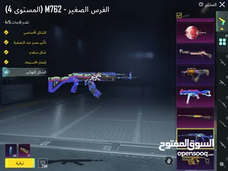  30 حساب ببجي عالمية مستوى 74