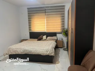  2 أستوديو مفروش للايجار في المصيون قرب  فندق الكرمل