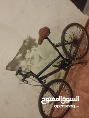  1 بسكليت نمره ب 24 بحل الوكاله مش ناقصه ولا اشي