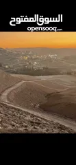  12 قطع (طابو)  مطلة على شارع المية(ممر عمان التنموي) وادي العش من المالك