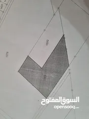  4 ارض استثمارية للايجار حاصلة على ترخيص تجاري