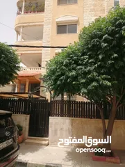  25 شقه مميزه جدا للبيع المساحه 203 متر الحي الشرقي مقابل الموسسة العسكريه