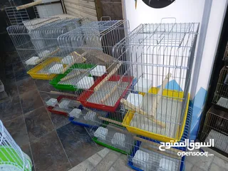  1 قفص كاسكو مع فتحة سقف ألوان شوف الوصف
