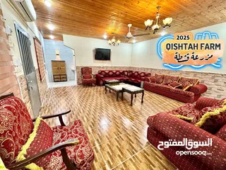  24 مزرعة قشطة للايجار في بلعما - مزرعة 5 STAR - مزرعة VIP - مزرعة للايجار - مزارع للايجار