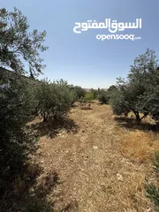  5 مزرعة للبيع
