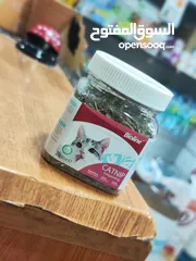  2 يا صاحبي! يبدو أن قطتك في طريقها لقضاء وقت ممتع! هل سبق لك أن جربت زراعة النعناع البري الخاص بك؟