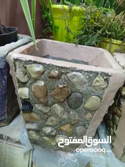  4 احواض زريعه اسمنتيه قابله للبدل على طيور