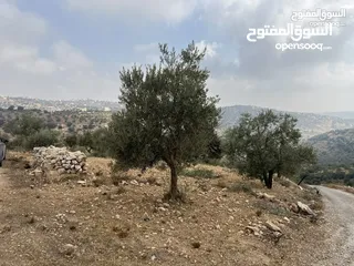 4 (1)ارض للبيع في بدر الجديدة السويسة مساحة الأرض 4500 م