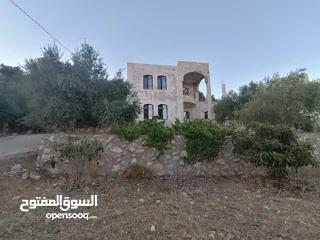  25 بيت ريفي للبيع في جرش - ثغرة عصفور