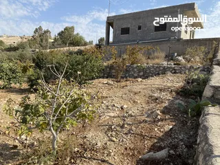  13 مزرعة للبيع في يرقا-السلط، إسكان المهندسين