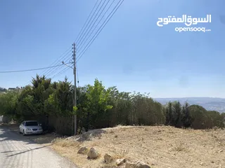  8 ارض مميزه للبيع خلف قصر الاميره بسمه