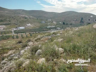  4 أرض عدة نمر للبيع بمساحات وأسعار مختلفة - بيت امرين - نابلس