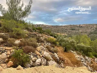  1 قطعة أرض 875 متر الف طابو سلطة أ