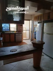  12 شقة مفروشة للايجار في المصايف