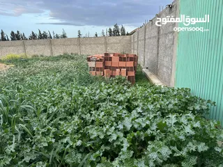  5 أرض للبيع فرصة
