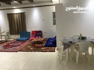  19 مشاركة سكن سيدات نظيف جدا جدا جدا