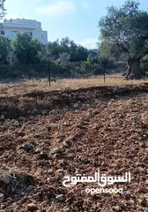  2 ارض للبيع في كوبر