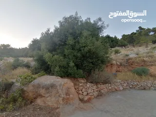  20 بيت ريفي للبيع في جرش - ثغرة عصفور