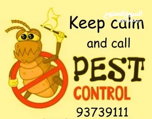  6 Pest control services