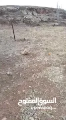  1 ارض مميزه منطقة شاليهات