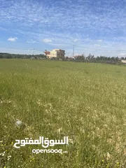  2 جنوب عمان ابو الحصاني 6 دونم  ب 5000من ا. + ذهيبة الغربية 624 م .