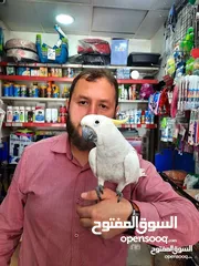  16 نشتري منك بأحسن الأسعار اقرأ الوصف صديقي