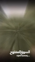  11 لحاف الريش المفـرد الأصلي – دبل فيس – الوزن الثقيل