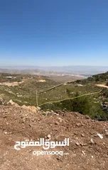  1 ارض للبيع دونم و200مترالمزرعه الغربيه