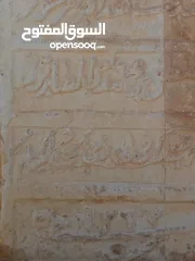  11 مطلوب للشراء ديوك بلدي ومصري عمر فوق الست شهور نشتري مهما كانت الكمية على دينارين للحبة