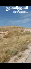  3 ارض للبيع 10 دونمات واجه 100 متر على شارع 20 معبد تبعد عن اشاره بلعما 1500 متر