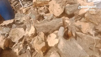  3 حطب زيتون زند وقرمي ناشف حطب لوزيات ناشف