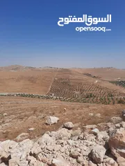  3 ارض للبيع بسعر مغري من المالك قابله للبدل ع سياره