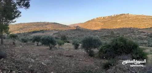  1 قطعة ارض للبيع بسعر جدا مغري تصنيف A