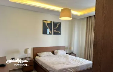  10 شقة مفروشة فاخرة بتصميم عصري اعلان رقم (D227)