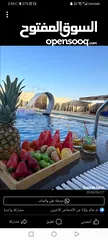  3 صيفك بكمل مع sunset farm  احجز الان في مزرعه الغروب في منطقه مادبا واستمتع بأجواء الصيف  مسبح مدفى