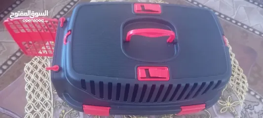  1 لنقل القطط