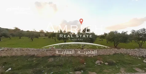  1 ارض 8000 م للبيع في الكمشه / بالقرب من مدارس الكمشه المختلطه
