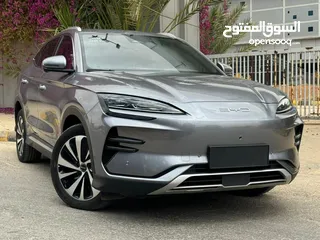  1 Byd song champion  اعلى صنف