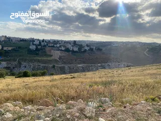  1 السلط السرو