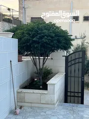  4 عماره طابقين للبيع تشطيب ديلوكس عمر البناء 5سنوات