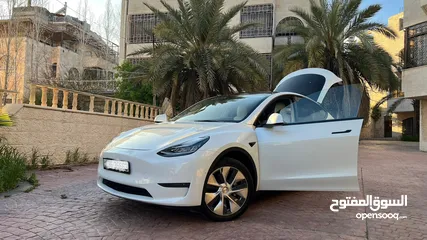  10 Tesla model Y 2021