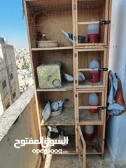  3 اربع جواز حمام للبيع مع القن