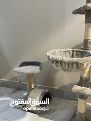  3 بيت قطط للبيع