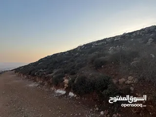  2 ارض للبيع بسعر مغري صالحه للزراعه والبناء ولكل شيء